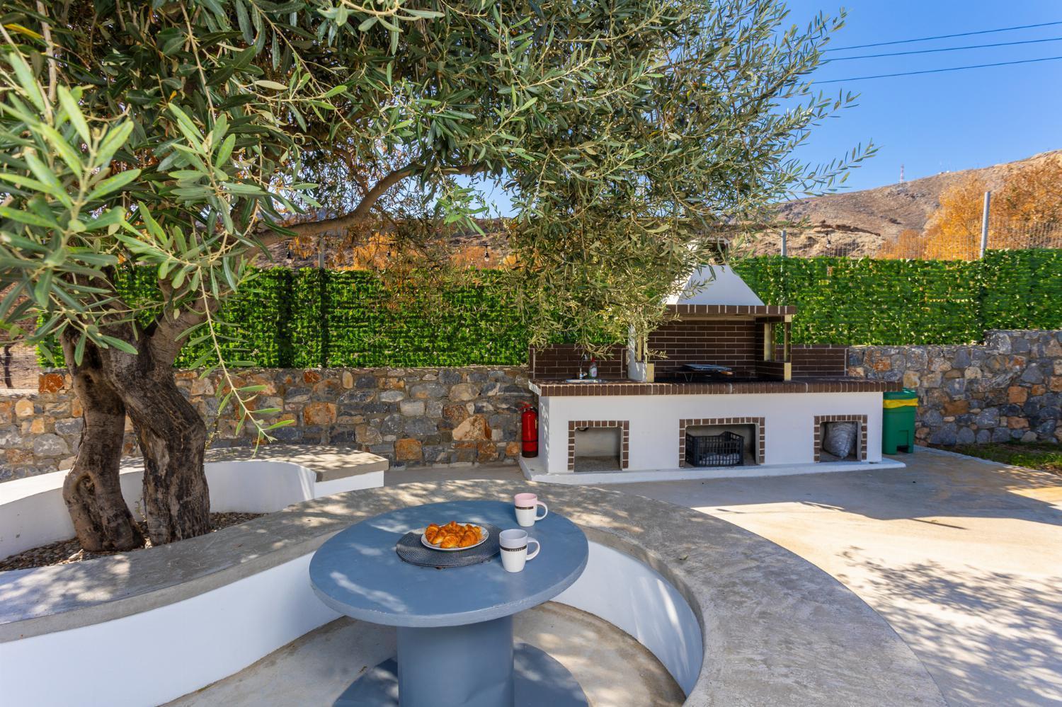 Livis 1 Villa